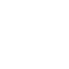 feature-item-1